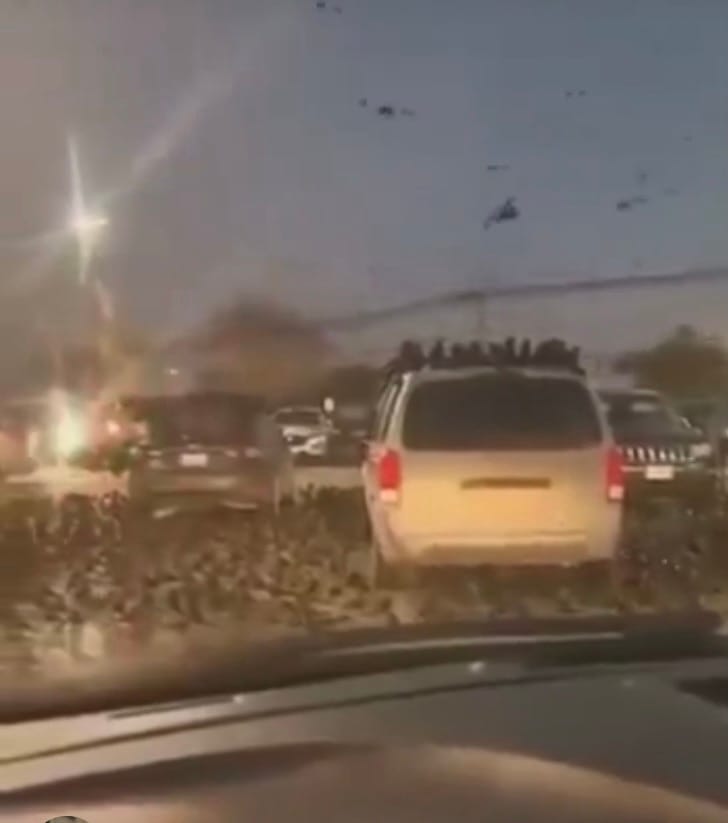 Milliers de corbeaux noirs volant au-dessus des bâtiments de Tel-Aviv en Israël